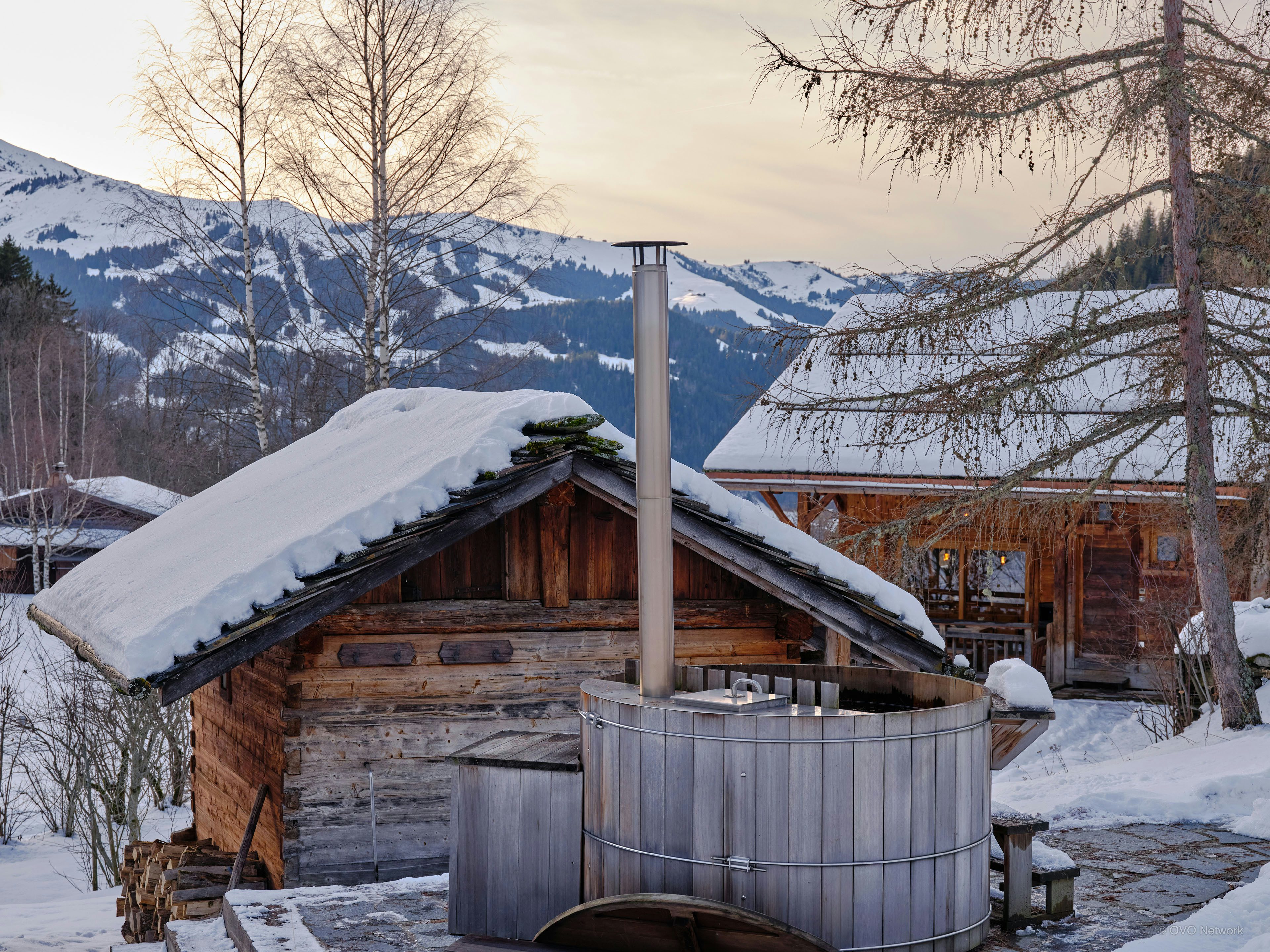 Mille-pattes – DocBébitte, image size:1984x1984