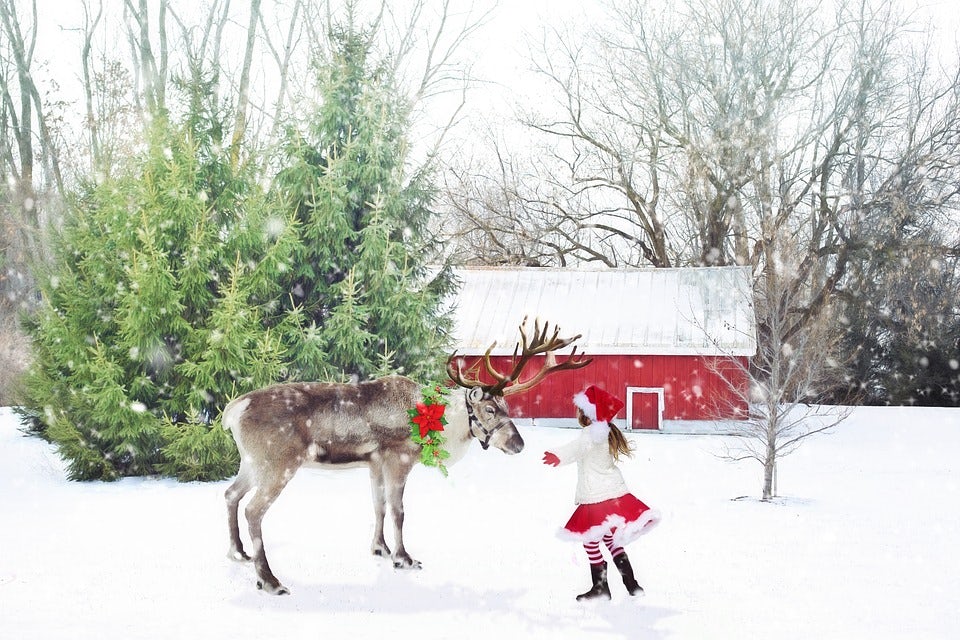 Visit the French Alps for a white Christmas to remember
